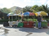 True_Blue_2012_353
