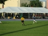 True_Blue_2012_505