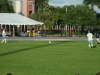 True_Blue_2012_513