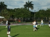 True_Blue_2012_570