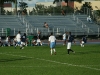 True_Blue_2012_574
