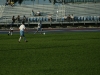 True_Blue_2012_719